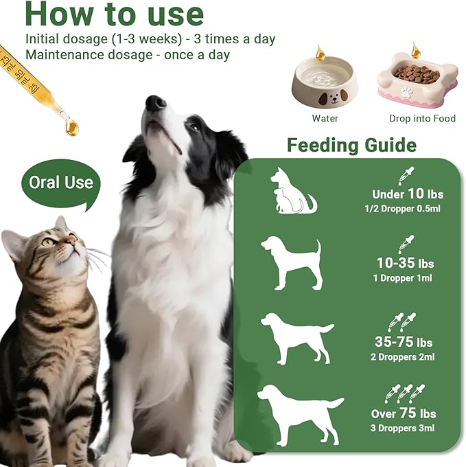 Kennel Cough Treatment Drop for Dogs &Cats,Help Wet and Dry Cough Relief,Seasonal Throat Discomfort, Natural Herbal Cough Liquid with Licorice,Ginger for All Breeds & Sizes,2 fl oz Bacon Flavor-Mewly Pet