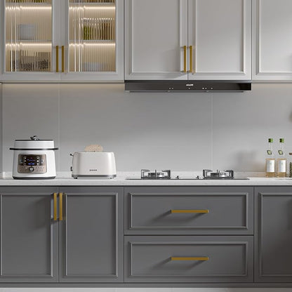 goldenwarm 10 Pack Champagne Gold Cabinet Pulls 3-1/2 Inch Gold Cabinet Handles Champagne Bronze Drawer Pulls Brushed Bronze Drawer Handles Kitchen Dresser Hardware