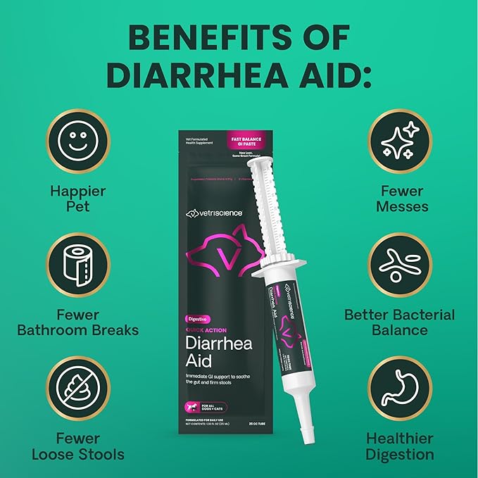VetriScience Quick Action Diarrhea Aid Paste with Probiotics & B Vitamins, Fast Balance Digestive Support Supplement for Dogs and Cats, Gut Balancer, Help Stop Diarrhea, Unflavored, 35 cc-Mewly Pet