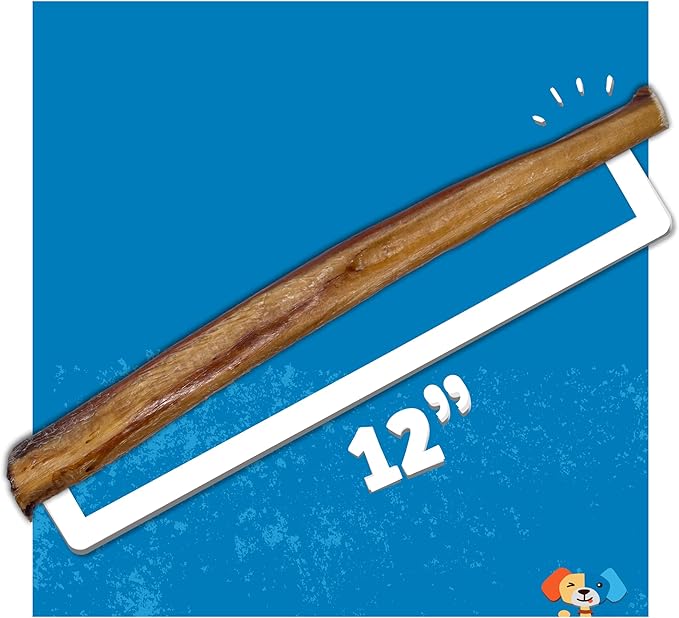 Jack&Pup 12 Inch Bully Sticks for Large Dogs (3 Pack) Jumbo Dog Chews for Aggressive Chewers | All Natural, Odor Free Bully Sticks for Dogs-Mewly Pet