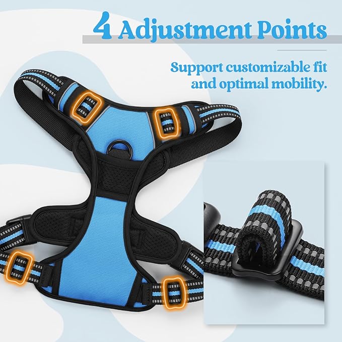rabbitgoo Dog Harness No Pull with 2 Leash Clips, Adjustable Soft Padded, Reflective Oxford No Choke Pet Vest with Easy Control Handle for Large Dogs, Blue, XL-Mewly Pet