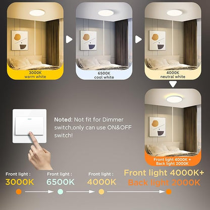 TALOYA Flush Mount Ceiling Light with Remote,3000K-6500K Adjustable,2000K Nightlight,12 Inch, Led Low Profile Ceiling Lights for Bedroom, Living Room, Kitchen, White