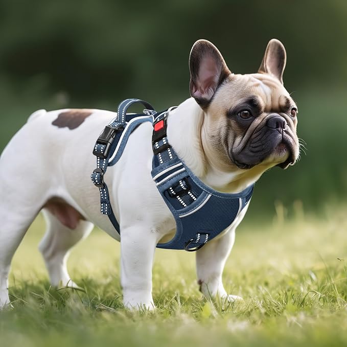 Timos Dog Harness Small Sized, No Pull Pet Harness with Neck Lockable Snap,No Choke Front Clip Dog Reflective Vest,Adjustable Metal Rings 3 Buckles,Easy Control Handle for Small Dogs Royal Blue S-Mewly Pet