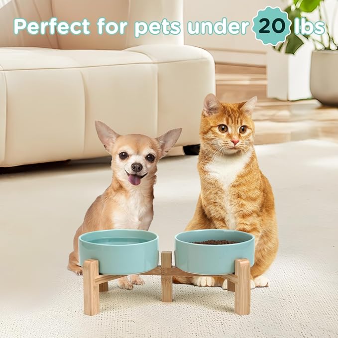 SPUNKYJUNKY Elevated Dog Bowls Ceramic, 5.1'' Dogs and Cat Food Water Bowls Raised with Non-Slip Bamboo Stand for Puppy Small Sized Breed Microwave Dishwasher Safe - 13.5 OZ,Light Green-Mewly Pet