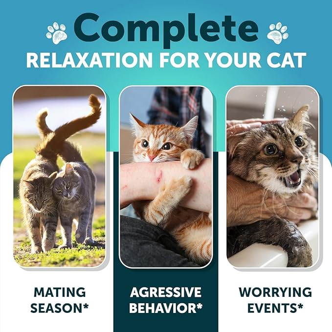 Hemp Cat Calming Treats for Stress & Anxiety Relief - Cat & Kittens - Melatonin - Storm Anxiety, Сomposure, Grooming, Separation, Veterinary Visits, Travel Care - Calming Aid with Hemp Oil - 135 Chews-Mewly Pet