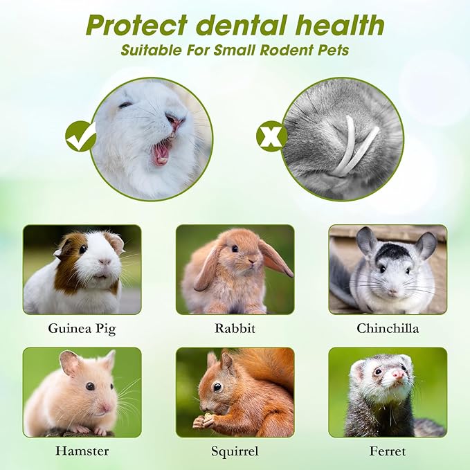 Abizoo Natural Rabbit Chew Toys,10 Sticks Sweet Bamboo Sticks for Rabbits with Petals,Bunny Chew Toys for Guinea Pig,Chinchilla,Hamster Treats Pet Wood Chews Snack Healthy Small Animals Toys for Teeth-Mewly Pet