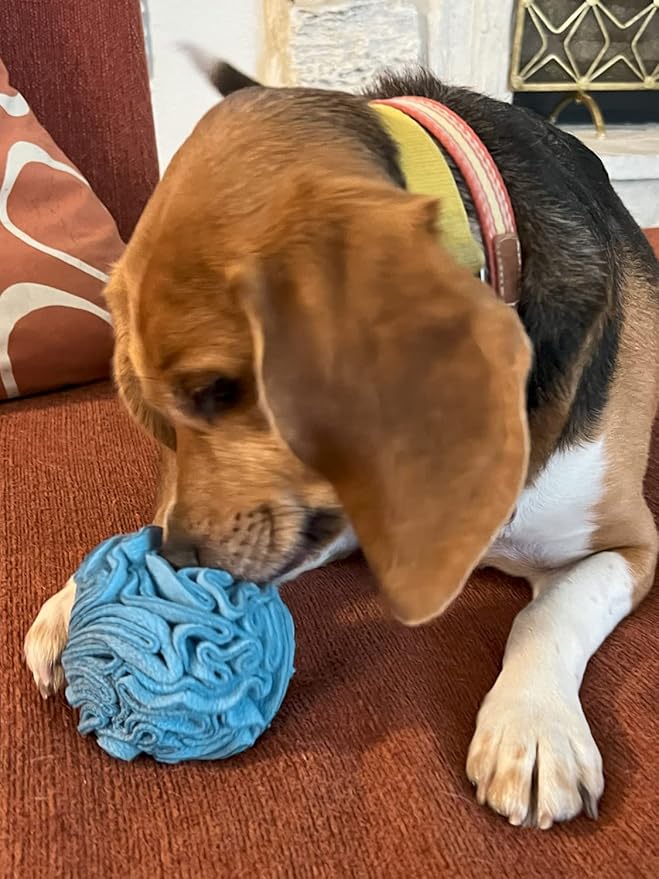 Puppy and Small Breed Snuffle Interactive Foraging Dog Puzzle Ball Toy Blue-Mewly Pet