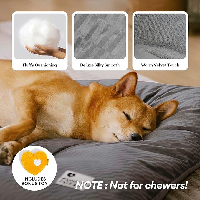 FUNNY FUZZY 30x20 Washable Dog Bed Crate Mat, 2 in1 Pet Pillow Sleeping Bed, Fluffy Deluxe Kennel Mattress for Medium Dog and Cat,Charcoal Grey,M-Mewly Pet