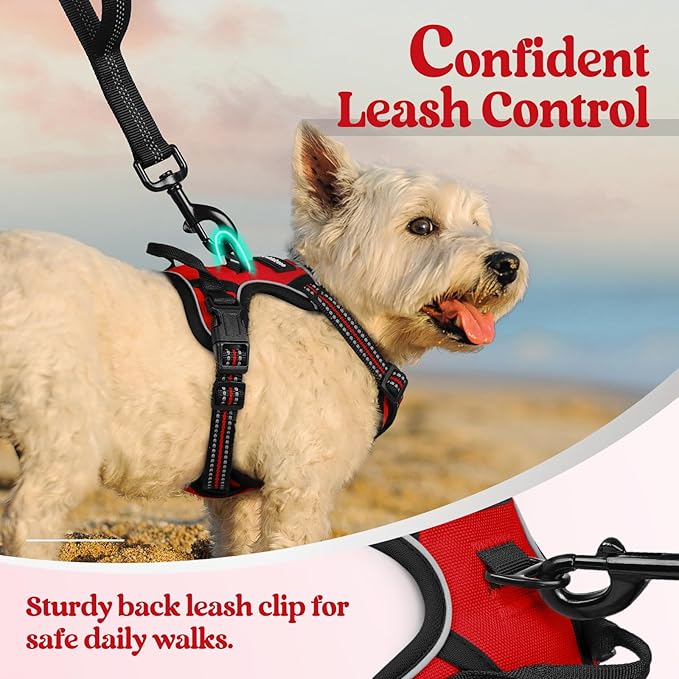 rabbitgoo Dog Harness No Pull with 2 Leash Clips, Adjustable Soft Padded, Reflective Oxford No Choke Pet Vest with Easy Control Handle for Puppy, Red,XS-Mewly Pet