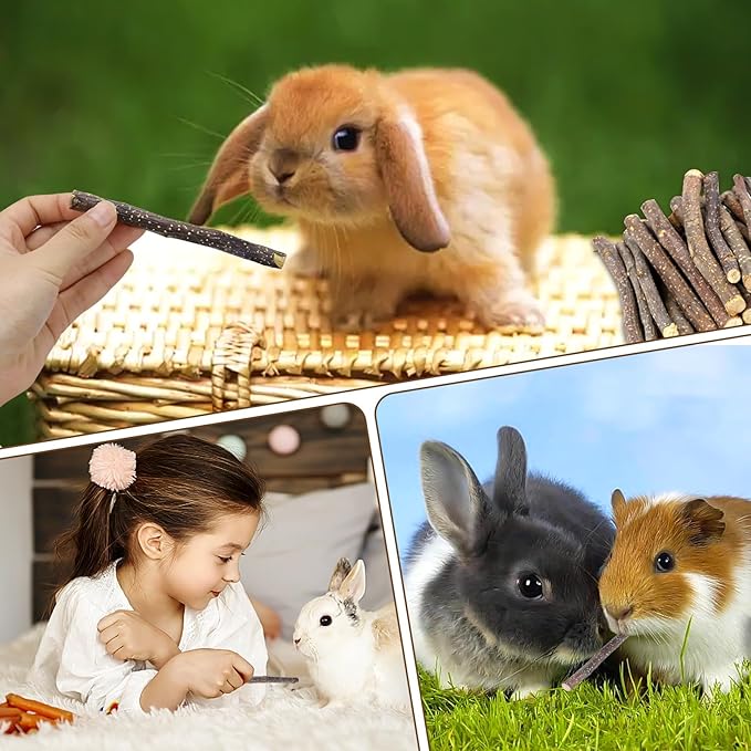 900g/2lb Small Apple Sticks Animals Molar Wood Treats Toys for Rabbits Chinchillas Guinea Pig Hamster Gerbil Parrot Bunny and Small Animals Chew Stick Toys Treats-Mewly Pet