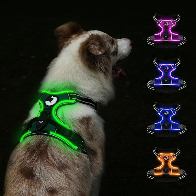 Taglory Light Up Dog Harness, Rechargeable No Pull Dog Vest with 3 Lightning Modes, Reflective Dog Harness with 2 Leash Clips & 4 Adjustable Slide Strips for Large Dogs, Turquoise-Green, L-Mewly Pet