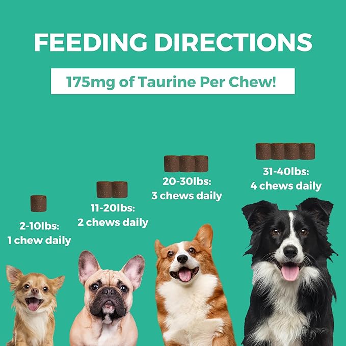 Nootie PROGILITY Daily Mini Multivitamin Chews for Dogs - Supports Immunity, Heart, Eye, Brain, and Bone Health with Taurine- for All Dog Sizes - 60 Soft Chews - Sold in Over 5,000 Pet Stores-Mewly Pet