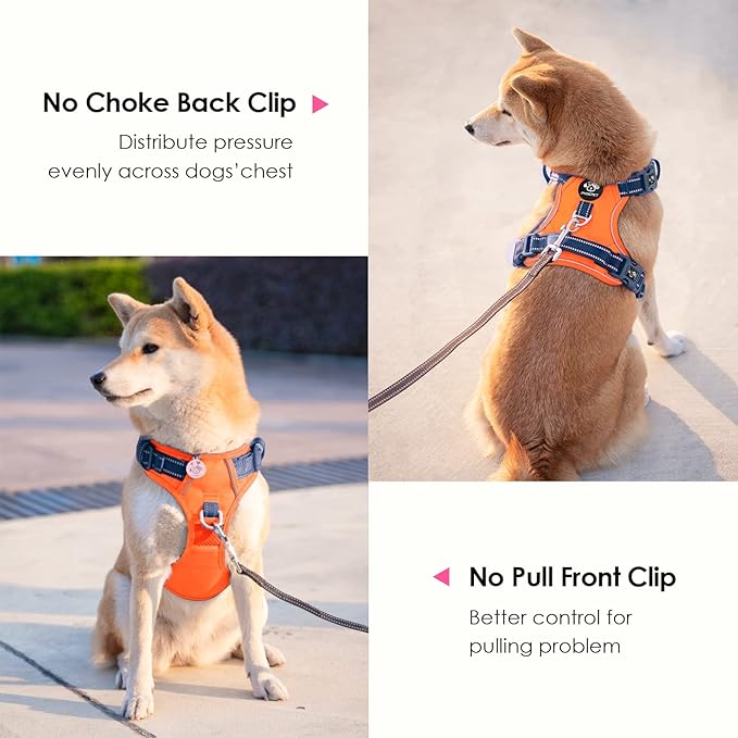 PHOEPET No Pull Dog Harness, Unique Colors Reflective Adjustable Dog Vest, with Soft Training Handle Metal Clips for Small Medium Large Dogs (Orange Base & Blue Straps,XL)-Mewly Pet