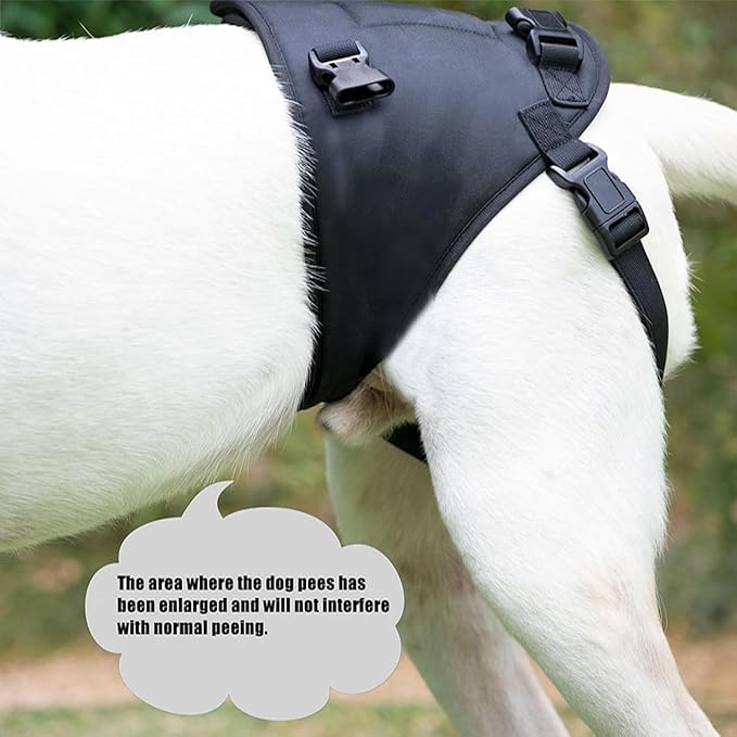 Dog Lift Harness for Dogs with Disabled Arthritis and Weak Back Legs, humanized Design with Comfortable Materials, Adjustable Back Legs and Straps, Suitable for Helping Dogs to Recover and Walk. (S)-Mewly Pet