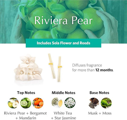 AGRARIA AirEssence Flower and Reed Diffuser Set, Handmade Sola Flower Botanical Home Fragrance Set, Scented Oil Reed Diffuser Gift for All Occasions