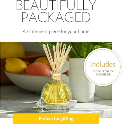 AGRARIA Monique Lhuillier Limone Scented AirEssence Diffuser, 7.4 Ounces with Reeds and Flowers