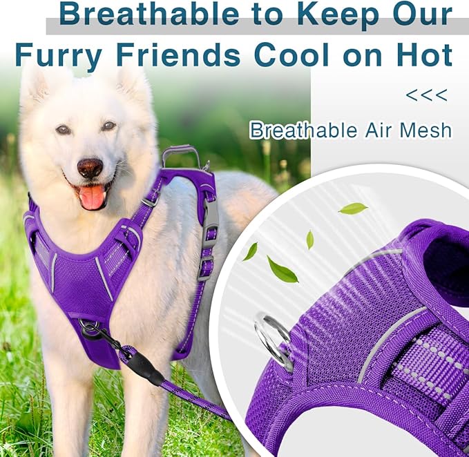 BARKBAY Dog Harness No Pull with ID Tag Pocket - Heavy Duty, Reflective, Easy Control for Large Dogs(Purple,L)-Mewly Pet