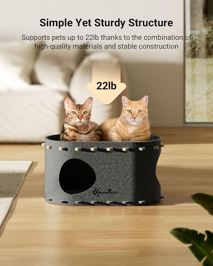 DownyPaws Cat House for Indoor Cats, Cat Bed Cave for Multiple & Large Cats Up to 22 Lbs, Scratch Resistant Peekaboo Cat Caves, Foldable Tunnel Enclosed Bed, PeekaPurr, Sesame Gray-Mewly Pet