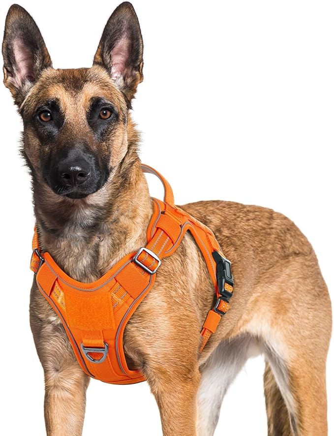 rabbitgoo Dog Harness for Large Dogs No Pull, Tactical Service Pet Vest with Molle and Control Handle, Adjustable and Reflective Military Harness for Easy Walking and Training, Orange, XL-Mewly Pet