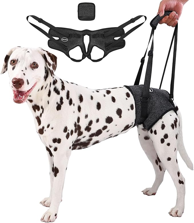 Dog Sling for Medium Large Dog Rear Leg, Lift Harness Provide Support with Muscle Atrophy and Joint Problems for Elderly Injured Arthritic Pet, Dog Weak Rear Legs Provides Rehabilitation Aid-Mewly Pet