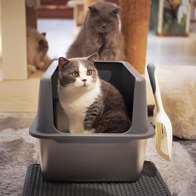Stainless Steel cat Litter Box, Covered Metal Litter Box, cat Litter Pans with high Sides, Kitty Litter Boxes for Indoor Cats (Non Sticky, Easy to Clean, Anti-Urine Leakage) 17.5" L x 13.5" W x 6" H-Mewly Pet