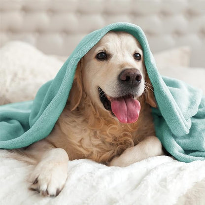 BEDELITE Fleece Blanket Haze Blue Throw Blankets for Couch & Bed, Luxury Plush Cozy Fuzzy Blanket 50" x 60", Super Soft Warm Lightweight Throw Blanket for Travel Camping