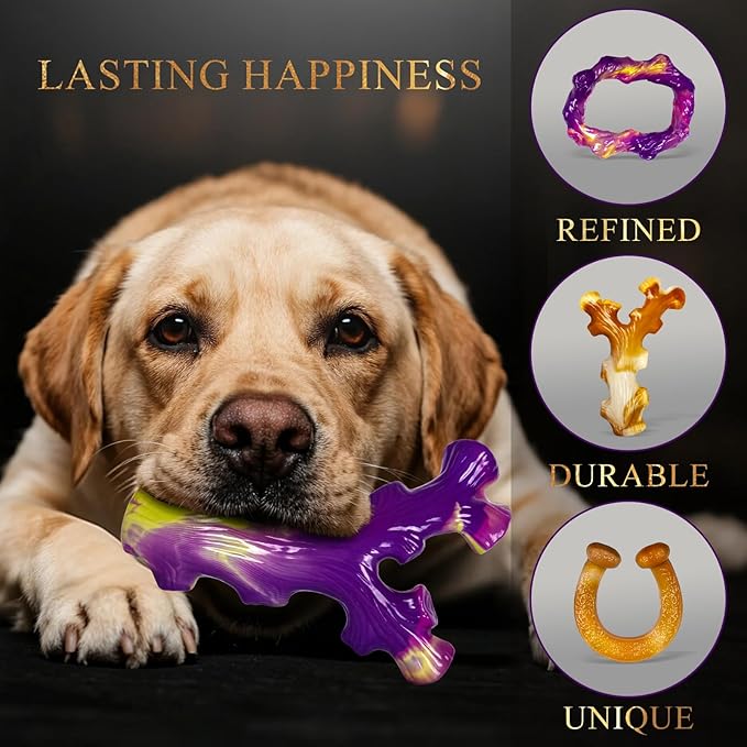 6 Pack Indestructible Dog Toys for Aggressive Chewers, Durable Nylon Bone for Large Dogs, Dog Toy for Aggressive Chewer Large Breed, A Mixed Special Edition Set-Mewly Pet