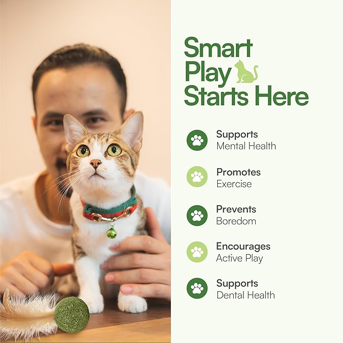 3 Pcs Catnip Balls with Feathers – Natural Catnip Toy for Play, Stress Relief & Healthy Enrichment Interactive Cat Toys Perfect for Indoor Cats & Kittens, Encourages Active Play & Wellness-Mewly Pet