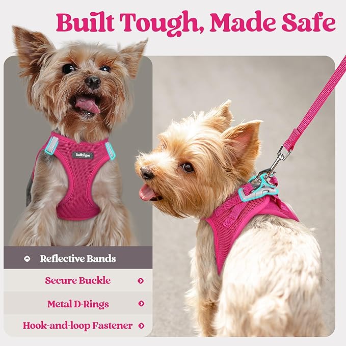 rabbitgoo Dog Harness Small Medium Sized and Leash Set, Step in Soft Light Puppy Vest, Breathable Mesh Pet Harness, Reflective for Safe Easy Walking, Rosa Red XL-Mewly Pet