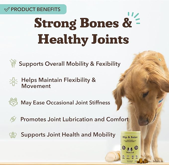Natural Dog Company Hip & Joint Chews for Dogs with Glucosamine for Dogs + Chondroitin, MSM & Turmeric, Supports Mobility & Reduces Discomfort, Stiffness, Natural Pain Relief Joint Supplement. 180 Ct-Mewly Pet