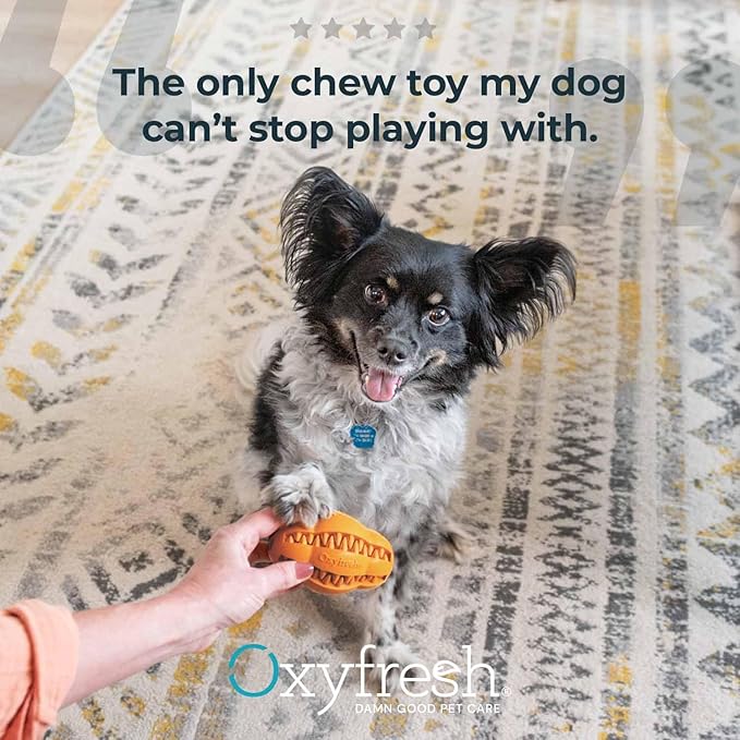 Oxyfresh Dog Dental Chew Toy - Best Durable Rubber Dog Toy & Puppy Teething Toy - Helps Remove Plaque, Cleans Teeth & Freshens Breath Without Brushing (Small)-Mewly Pet
