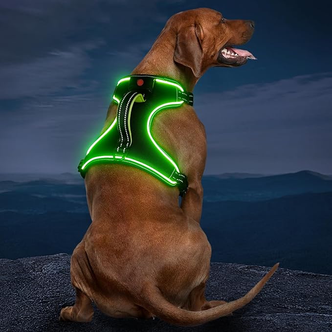 Rechargeable LED Dog Harness - No Pull, 4 Point Adjustable, Small/Medium/Large/X-Large Sizes-Mewly Pet