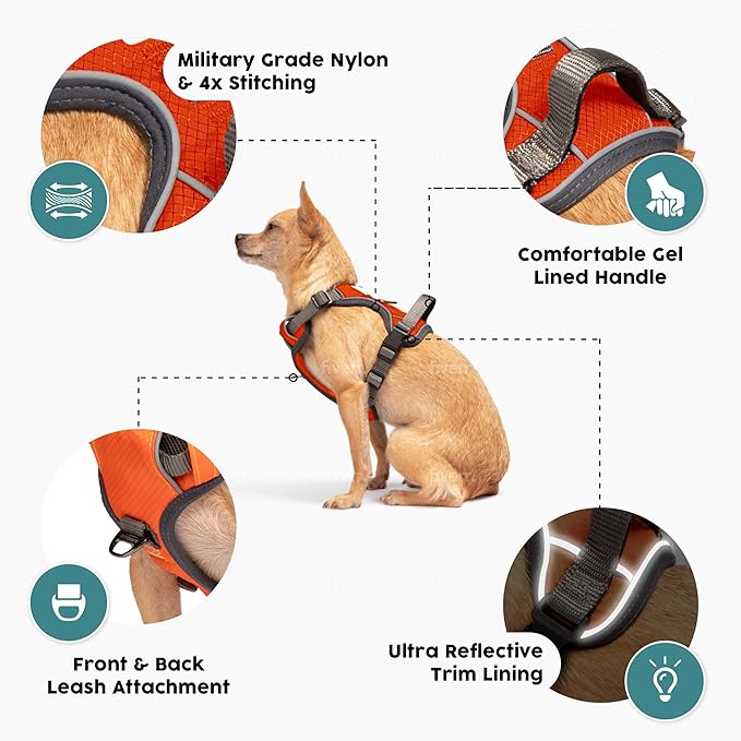 Embark Adventure Dog Harness, Reflective Trim No Pull Dog Harnesses for Small Sized Dogs - Military Grade Nylon, Front Clip with Gel Lined Handle.-Mewly Pet