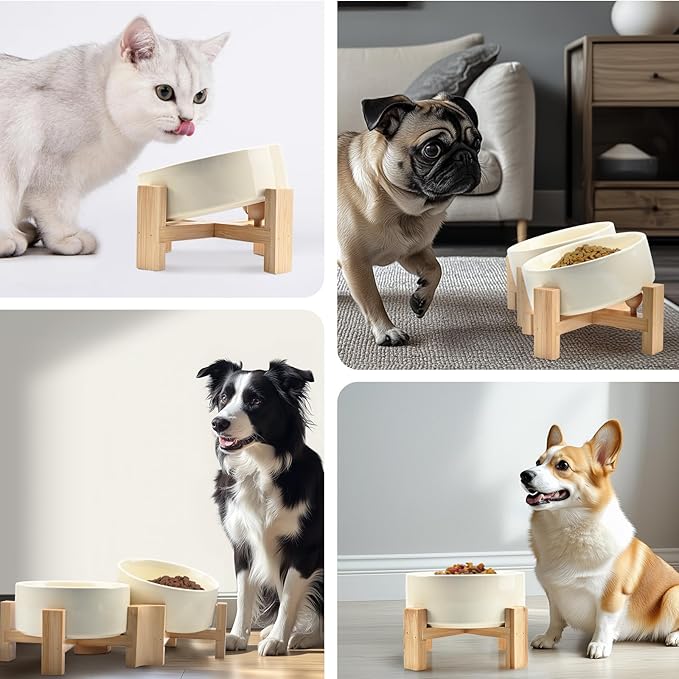 SPUNKYJUNKY 15° Slanted Ceramic Dog and Cat Bowl with Wooden Stand, Tilted Bulldog Food and Water Bowl No Slip Non-Spill for Cats Medium Dogs Big Face Pets 13.5 OZ (1.7 Cups, Beige × 2)-Mewly Pet