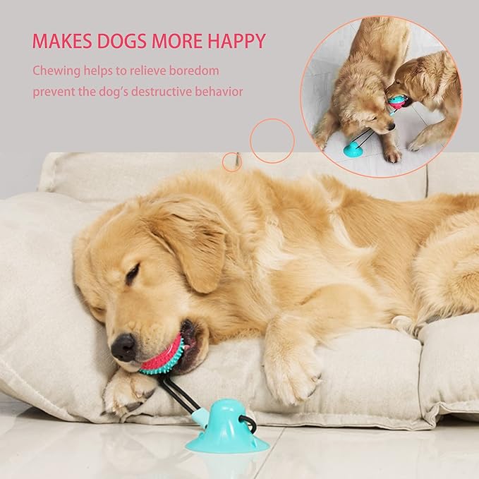 Dog Toys Dog Chew Toys for Aggressive chewers, Puppy Dog Training Treats Teething Rope Toys for Boredom Dog Puzzle Treat Food Dispensing Ball Toys for Puppies Teething (Blue)-Mewly Pet