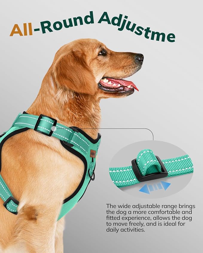 MIDOG No-Pull Dog Harness | Adjustable & Reflective Pet Harness Leash Set for Small Medium Large Dogs Walking, Training| No Choke, Front Clip, Soft Padded Vest with Easy Control Handle - Green, L-Mewly Pet