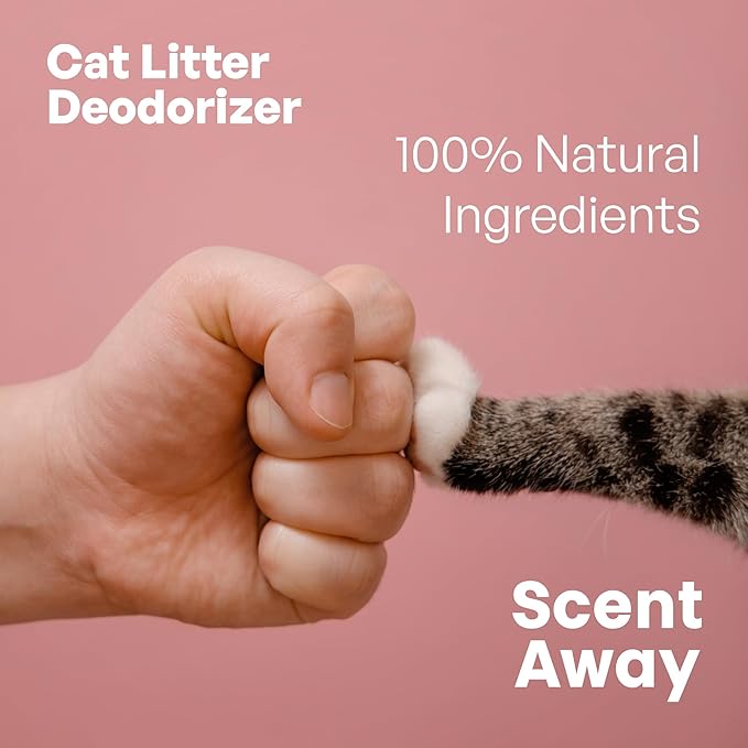 Cat Litter Deodorizer | Litter Box Odor Eliminator | Fragrance-Free with Active Carbon | Eliminates Cat Odors and Smells to Keep Your Home Fresh and Clean (Pack of 3)-Mewly Pet