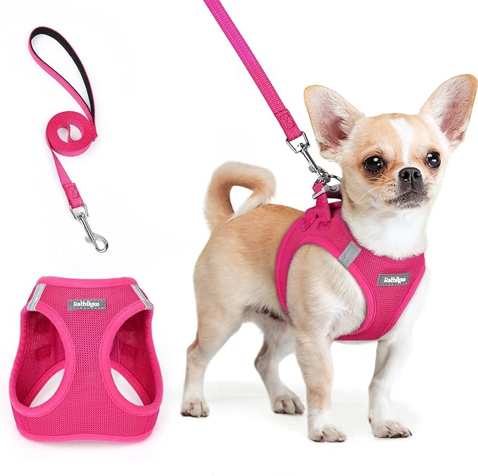 rabbitgoo Dog Harness Small Sized and Leash Set, Step in Soft Light Puppy Vest, Breathable Mesh Pet Harness, Reflective for Safe Easy Walking, Rose Red XXS-Mewly Pet
