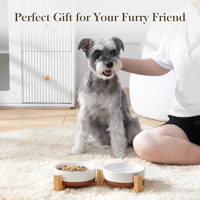 MALACASA Ceramic Dog Bowls, Dog Water/Food Dish with Wood Stand Non-Slip,14oz, Pet Basic Bowls for Your Puppy, Small Dogs or Cats,Glaze Matte Weighted Non-Slip (S-1.5 Cups)-Mewly Pet