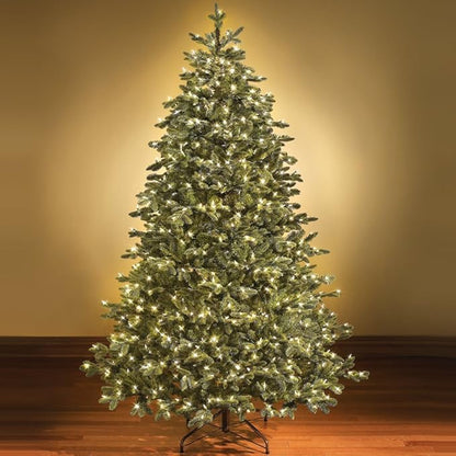 Holiday Essence Clear Christmas Lights Green Wire, 100 Incandescent Mini String Lights Set for Indoor Outdoor Holiday Lighting Decoration, Christmas Tree Lights, Static Flashing UL Certified