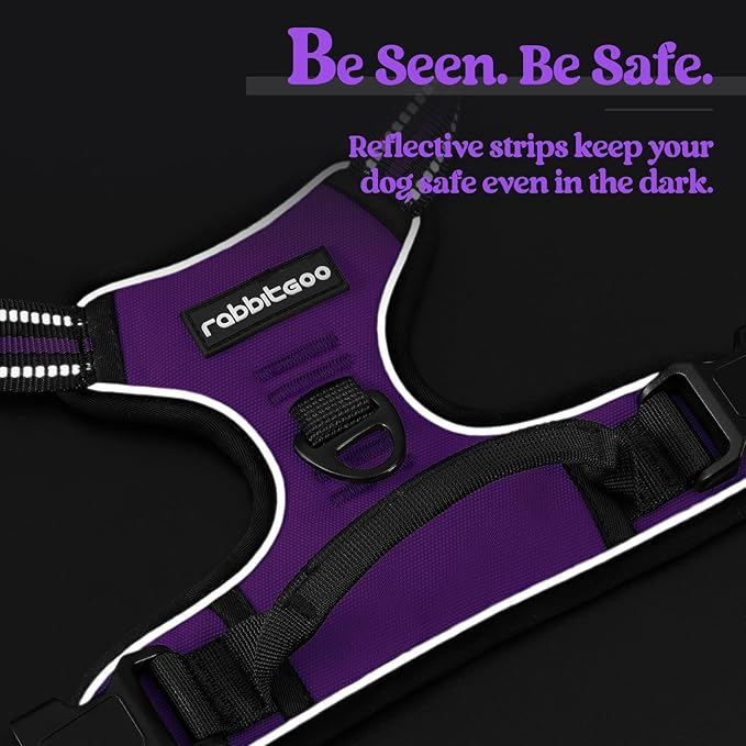 rabbitgoo Dog Harness No Pull with 2 Leash Clips, Adjustable Soft Padded, Reflective Oxford No Choke Pet Vest with Easy Control Handle for Small Dogs, Purple, S-Mewly Pet