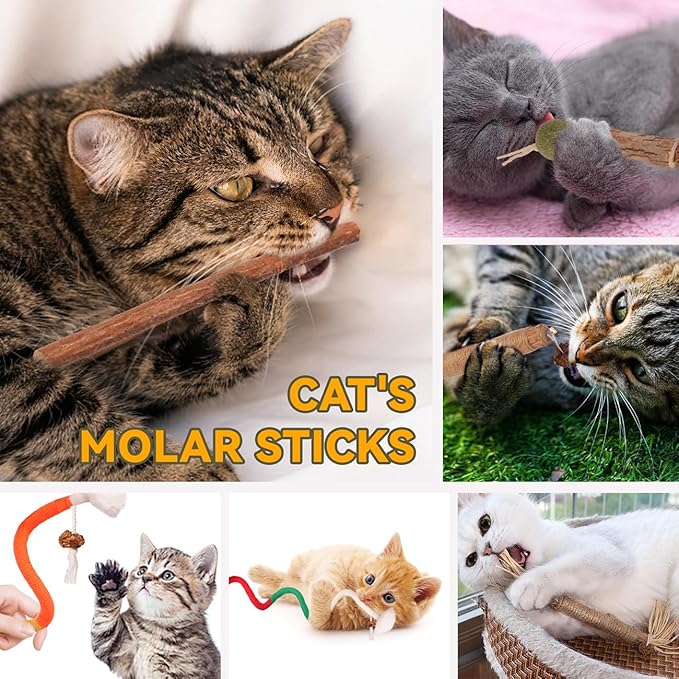 Cat Toys Cat Chew Toys, Silvervine Sticks Catnip Rope Toys for Cats Teeth Cleaning, Kitten Dental Care, Kitty for Indoor Cats Increase Appetite,Enhances Oral & Dental Health (21 Pack)-Mewly Pet