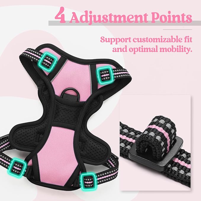 rabbitgoo Dog Harness No Pull with 2 Leash Clips, Adjustable Soft Padded, Reflective Oxford No Choke Pet Vest with Easy Control Handle for Puppy, Pink, XS-Mewly Pet
