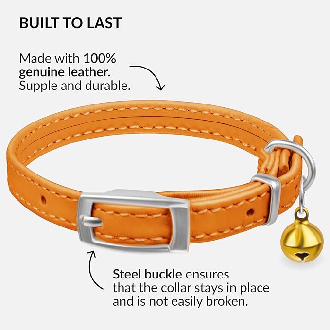 CollarDirect Leather Cat Collar with Bell - Kitten Collar, Small and Big Cat Strap for Boy Cats, Girl Cats with Safety Elastic Strap (Neck Fit 8"-11", Orange)-Mewly Pet