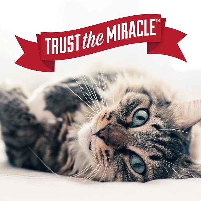 Nature's Miracle Urine Destroyer Plus for Cats, Enzymatic Formula for Severe Cat Urine Stains, 1 Gal-Mewly Pet