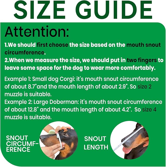 Dog Muzzle, Basket Muzzle for Small Medium Large Dogs, Anti-Biting and Chewing, Lightweight & Sturdy Cage Design, Allows Panting & Drinking, Ideal for Grooming & Training(Green Size XL)-Mewly Pet