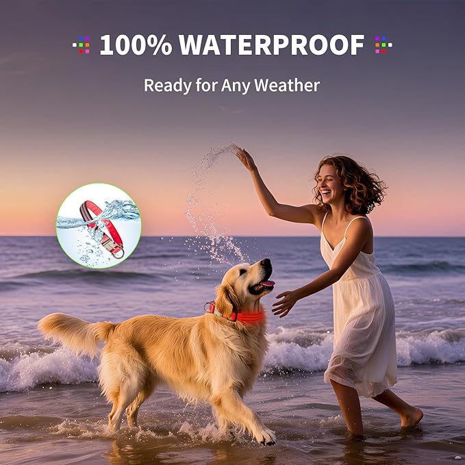 LED Dog Collar with Metal Buckle - USB Rechargeable Glow Collar for Dogs, Waterproof Light Up Dog Collar w/Reflective Strips - Adjustable Night Safety Collars by PetIsay(Red,Medium)-Mewly Pet