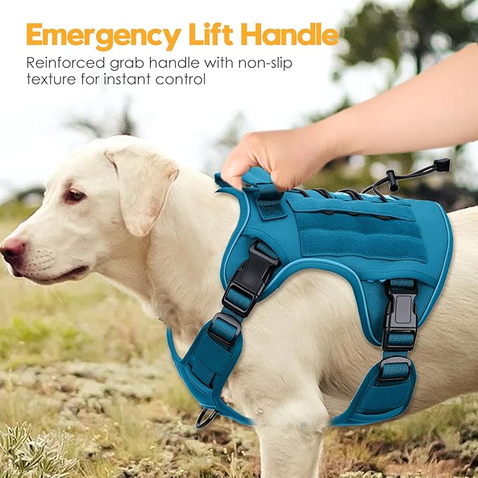 Heavy-Duty Tactical Dog Harness for Large Dogs, No Pull Adjustable Reflective Pet Vest with Molle System, K9 Military-Grade Control for Service Training, Outdoor & 10+ Breeds, Blue, XX-Large-Mewly Pet