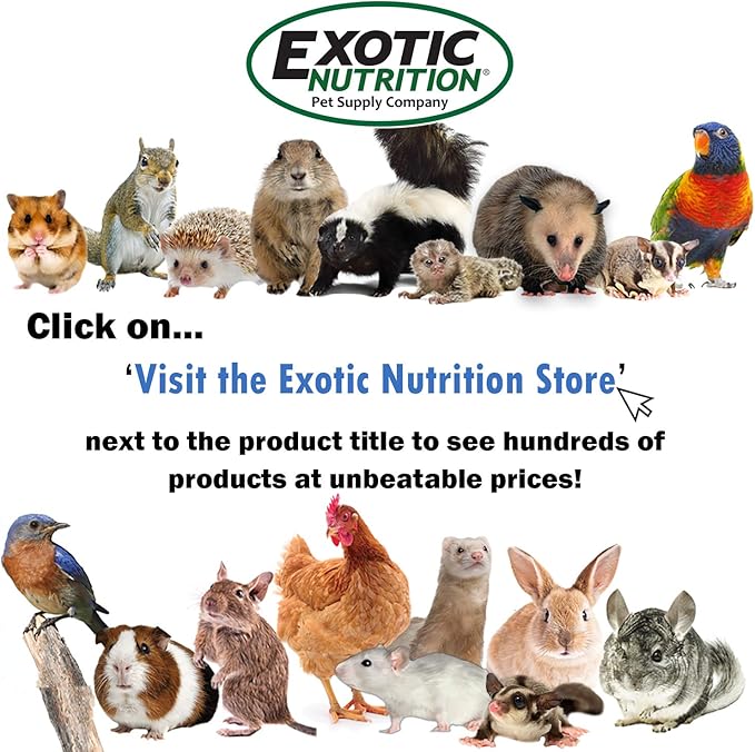 Exotic Nutrition Herbivore Treats (3 Pack) - for Guinea Pigs, Rabbits, Hamsters, Gerbils & More-Mewly Pet