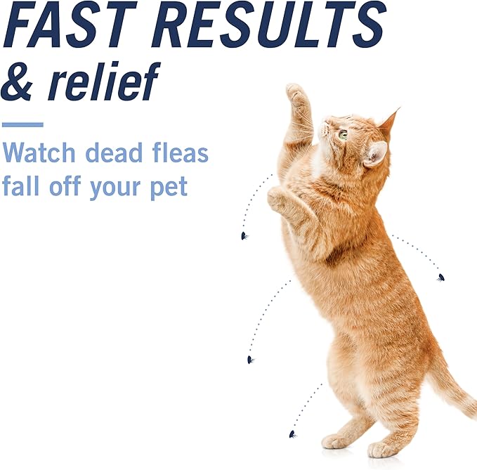 PetArmor CAPACTION (nitenpyram) Oral Flea Treatment for Cats, Fast Acting Tablets Start Killing Fleas in 30 Minutes, Cats 2-25 lbs, 6 Doses-Mewly Pet